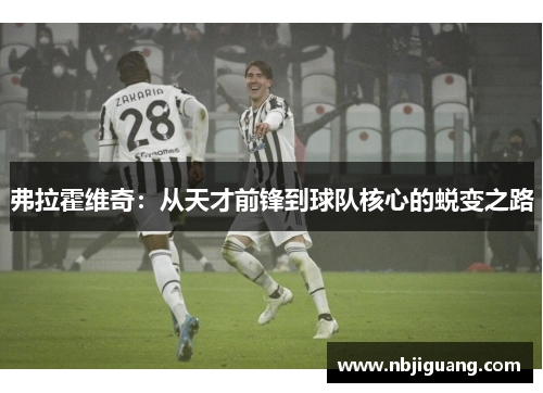 弗拉霍维奇：从天才前锋到球队核心的蜕变之路